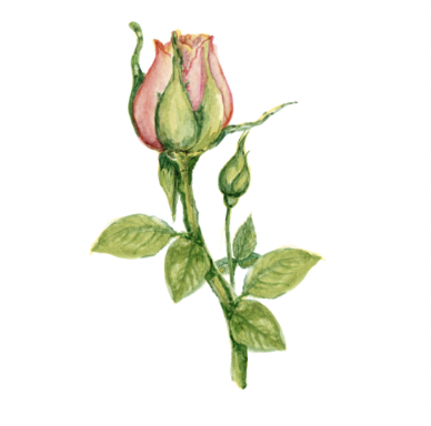 Screen Shot 2025-11-18 at 8.23.58 PM